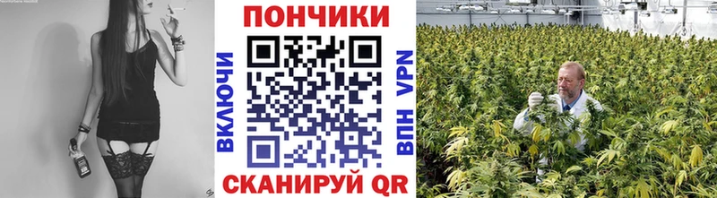 где можно купить   Сычёвка  МАРИХУАНА индика 